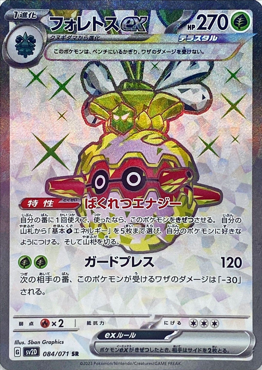 forretress pokemon card proxy cards first edition foil E-Card (Skyridge (SK) #H8) The item may be similar but not exactly the same as the image (e.g The Cards Of Pokmon TCG: