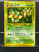 Bellossom Holo n°182 Old Back - Neo JP - Pokemon TCG Japanese