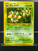 Bellossom Holo n°182 Old Back - Neo JP - Pokemon TCG Japanese