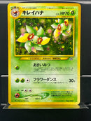 Bellossom Holo n°182 Old Back - Neo JP - Pokemon TCG Japanese