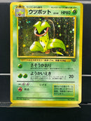 Victreebel Holo n°071 Old Back - Jungle - Pokemon TCG Japanese