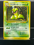Victreebel Holo n°071 Old Back - Jungle - Pokemon TCG Japanese