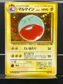 Electrode Holo n°101 Old Back - Jungle - Pokemon TCG Japanese