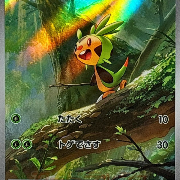Chespin AR 084/083 Ninja Spinner