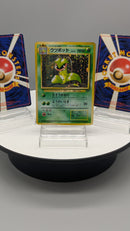 Old Back Plant Pokemon Special Set 3 cards - Pokemon TCG Japanese