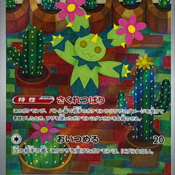 Maractus AR 101/100 Battle Partners