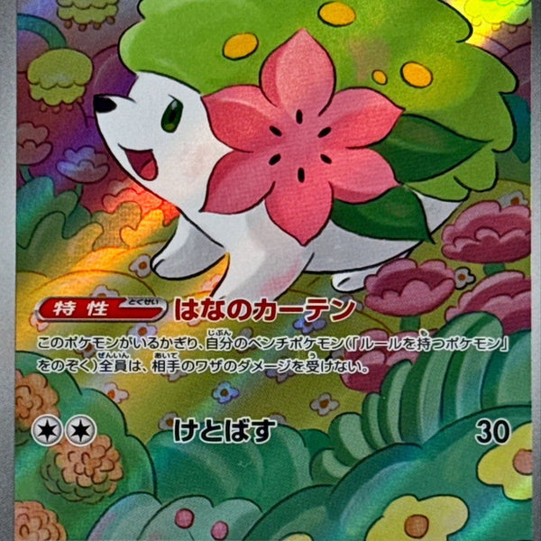 Japanese Pokmon Card Japanese Pokemon Card - Shaymin AR 066/063 (Full Art) From SV9a Heat Wave Arena Set Pokemon Shaymin 66 Japanese Pokmon Card Japanese Pokemon Card - Shaymin AR 066/063 (Full Art) From SV9a Heat Wave Arena Set Pokemon Shaymin 66