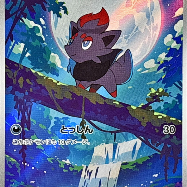 Zorua AR 140/086 White Flare - Pokemon TCG Japanese